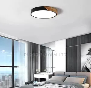 Ceiling Light
