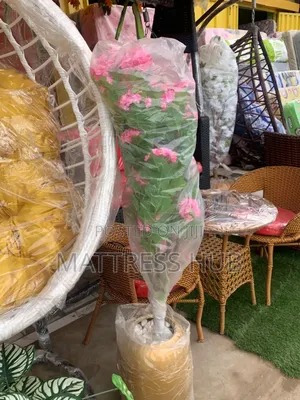 Elegant Greenish Flowering Plant