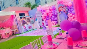 Birthday Party Decorations and Organizers