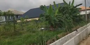 100 by 100 for Sale Along Ongoing Constructed Road at Osubi Delta 