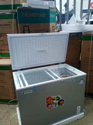 255 Liters Tasha Energy Solar Chest Freezer, Silver Color
