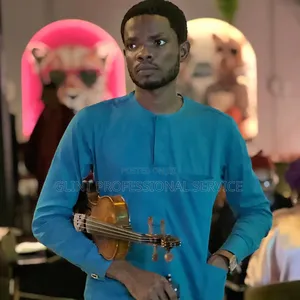 Professional Violinist
