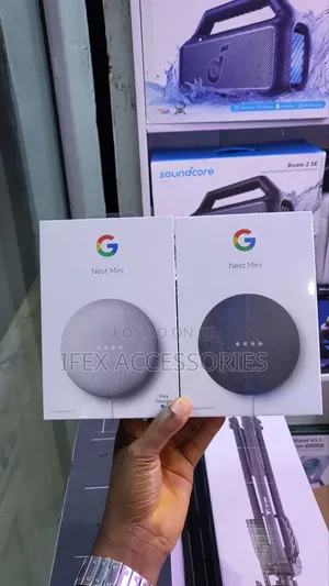 Google Nest Mini (2nd Gen)