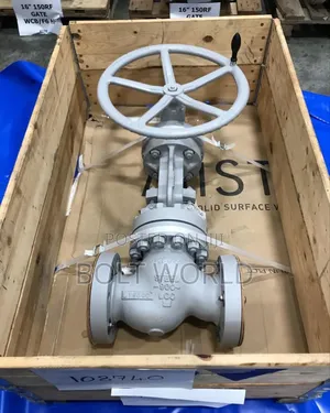 Flange for Oil and Gas Maintenance