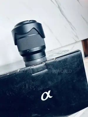 Sony 28-70 E Mount Lens