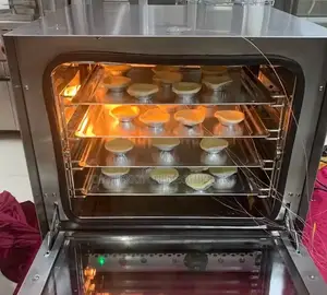 Industrial Electric Convection Oven
