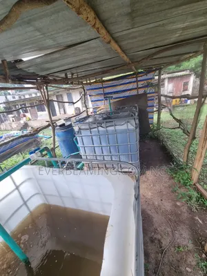 We Build Recirculatory Aquaculture System (Ras)