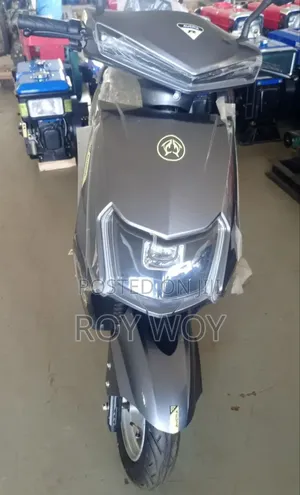 New Motorcycle 2024 Gray