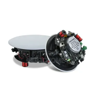 Frameless Wifi Bluetooth Ceiling Speaker