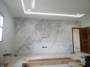 Creative Stucco Designs Application/Painting