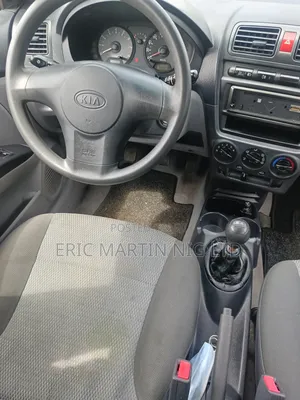 Kia Picanto 2008 Brown