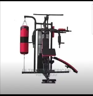 Sports Gym + Sit-Up Bench + Punching Bag
