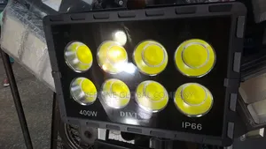 400w Electric Flood Light for Homes/Hotels/Companies/Factories/Estates