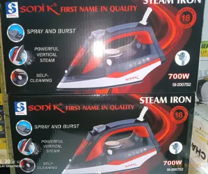 700w Steam Pressing Iron for Homes/ Dry Cleaning Can Use on Solar