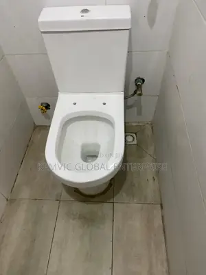 A Professional Plumber at Your Doorsteps