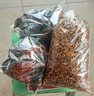 Crayfish and Fish