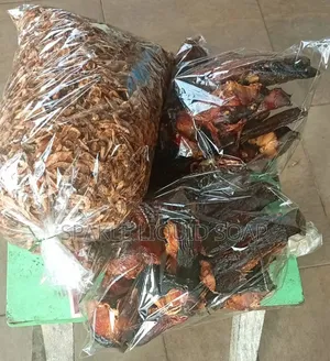 Crayfish and Fish