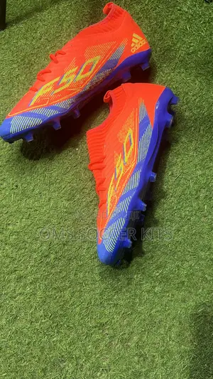 Adidas F50 Fg Elite (46)