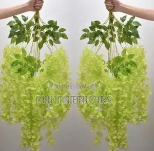 Spanich Wisteria Flowers