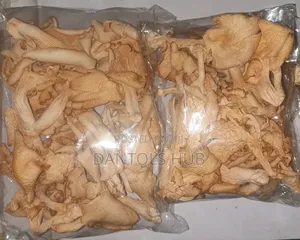 Oyster Mushroom