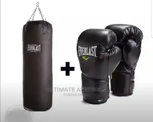 Boxing Bag + Everlast Product