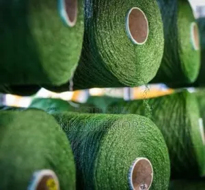 Rug Carpet Grass and Accessories Pay on D