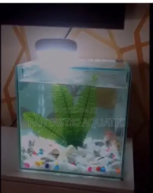 12x12x12’’ Custom Made Aquarium