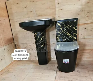England Matt Black With Gold Design Wc With Wash Hand Basin