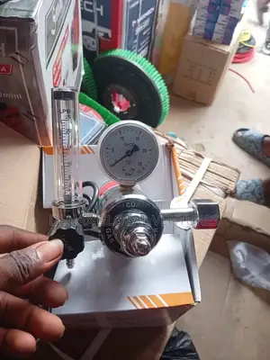 Co2 Heated Regulator/Gauge 220v