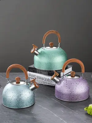 4l Whistling Stainless Steel Kettle