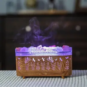 Holdmay Salt Flame Humidifier