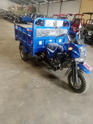 New Tricycle 2025 Blue