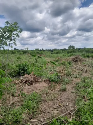 Gazetted Land's Close Epe Toll-Gate