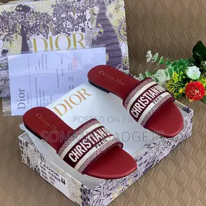 Christian Dior Paris Slippers