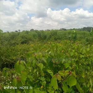 Gazetted Land's Epe Ijebu Ode Express