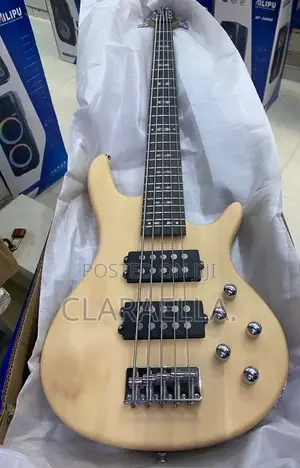 Alvarez Five Strings Electric Bass Guitar