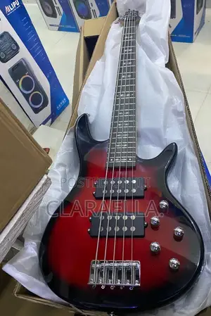 Alvarez Five Strings Bass Guitar