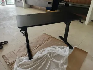 New Electric Adjustable Desk