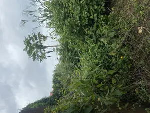 Acres of Land Up for Grabs