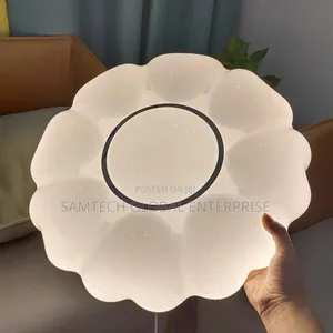 Nordic Ceiling Light