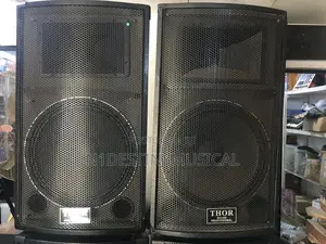 15 Inch Speaker