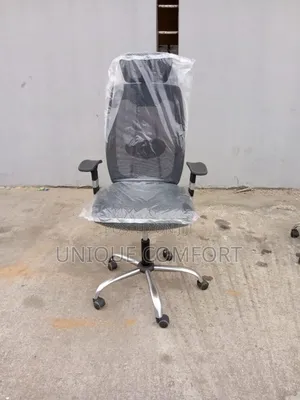 Imported Executive Office Ergonomic Mess Chair