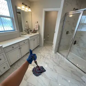 Professional Cleaning Services