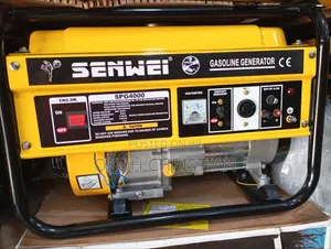 Senwei Generator Pg4000