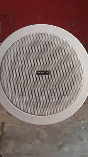 Ceiling Speaker