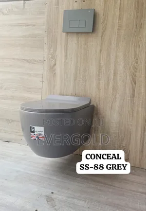 England Conceal Water Closet Grey With Complete Accessories