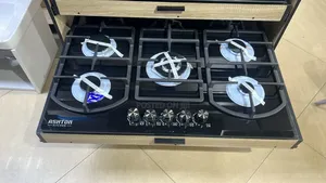 5 Burner Built-in Gas Cooker With Safety Device And Auto Ignition