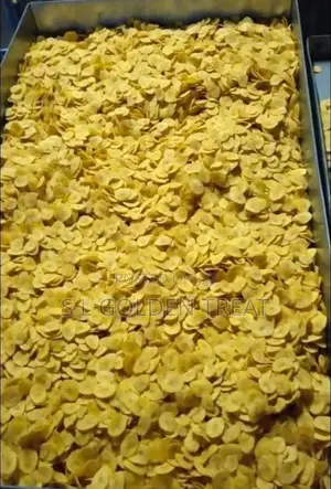 Premium Plantain Chips