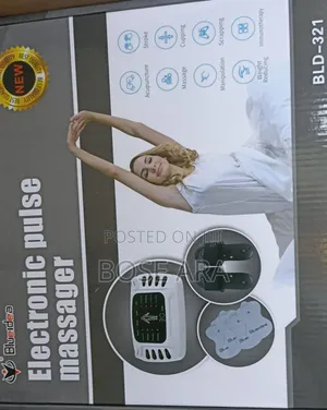 Electronic Pulse Massager