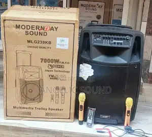Modern Day 15 Inches Public Address System Model No MLG 239kb
